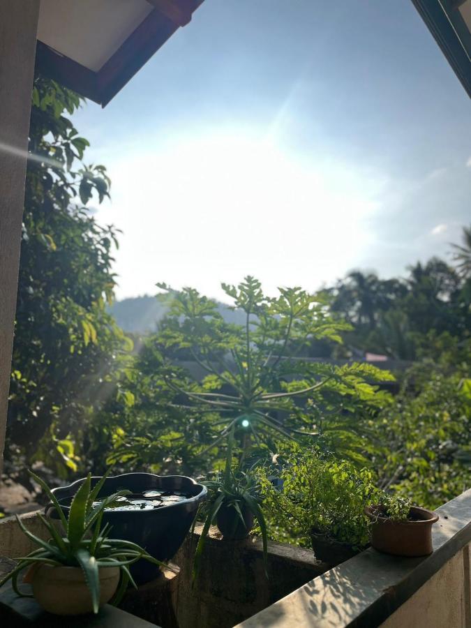Rustic Mahaweli Apartment แคนดี้ ภายนอก รูปภาพ